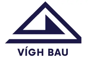 Vigh Bau – Google Business Profile referencia